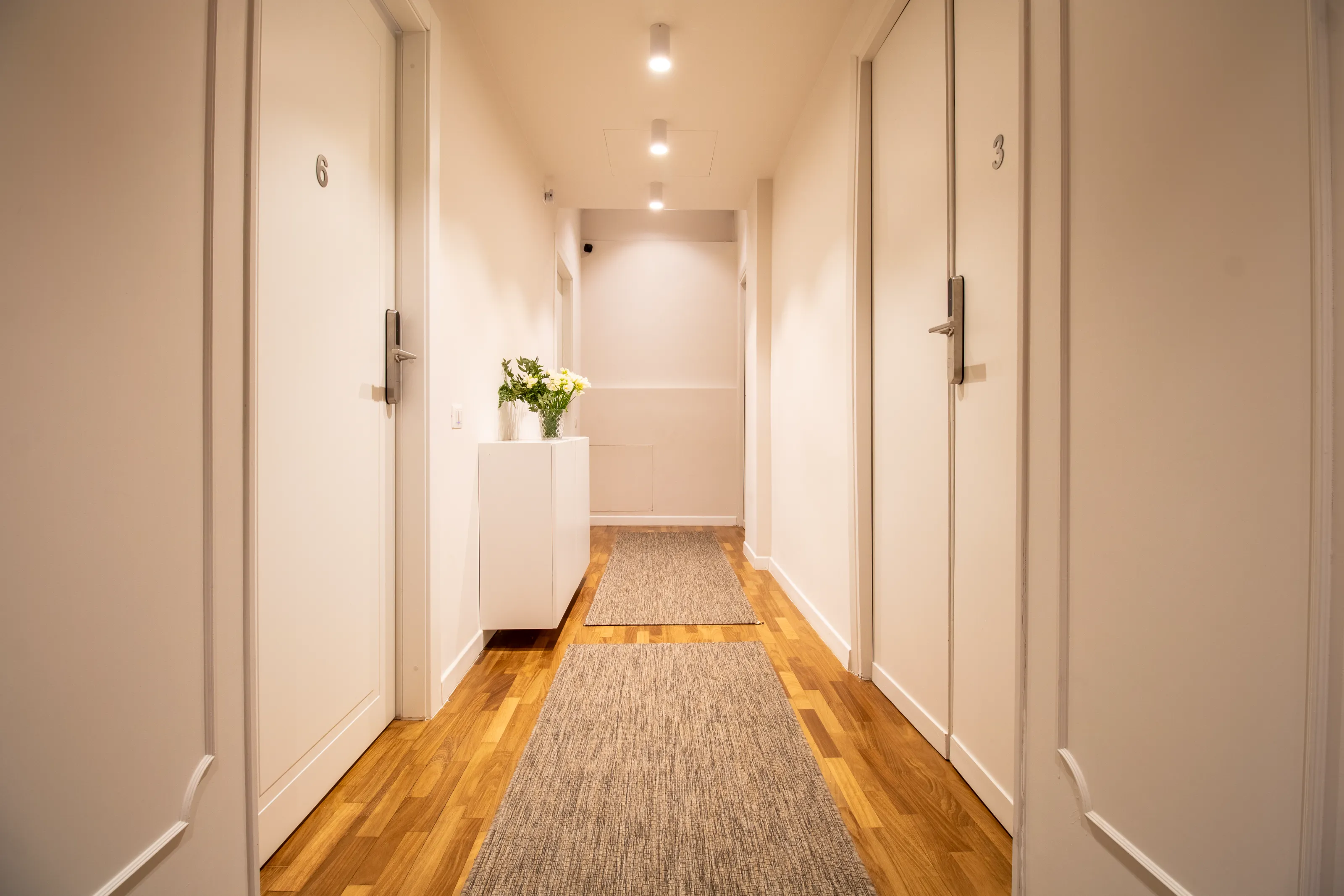 Bright hallway with modern lighting and wooden floors, giving access to the guest rooms.